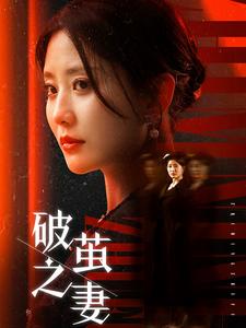 破茧之妻&婚姻的救赎（46集）