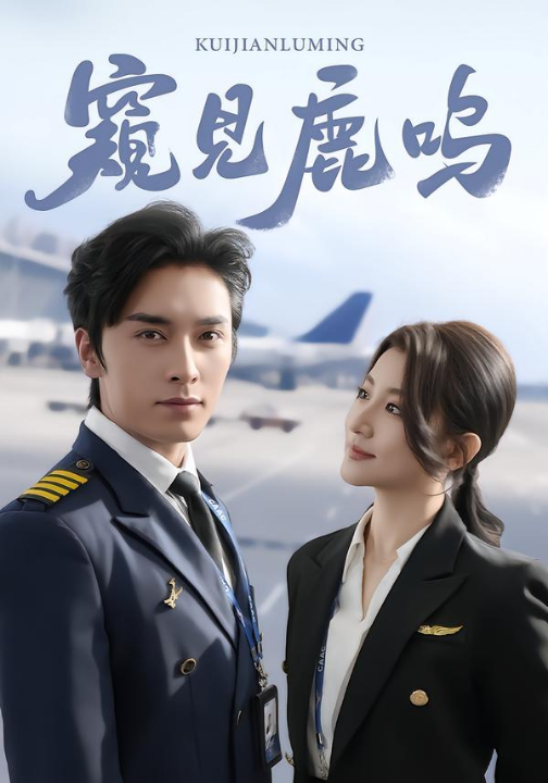 窥见鹿鸣（60集）王博＆王如玮