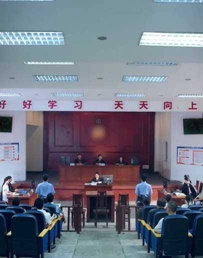 以法之名：罪无可赦（60集）