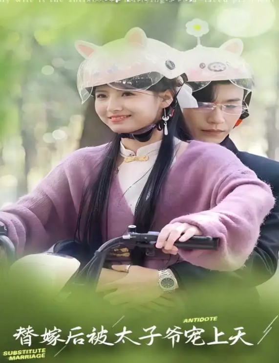 替嫁后被太子爷宠上天（80集）王槿&沉思