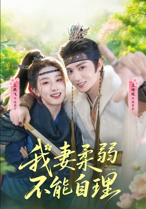 我妻柔弱不能自理（72集）王培廷＆王燕飞