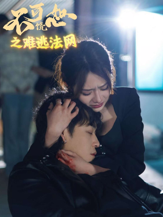 不可饶恕之难逃法网（20集）杨洪