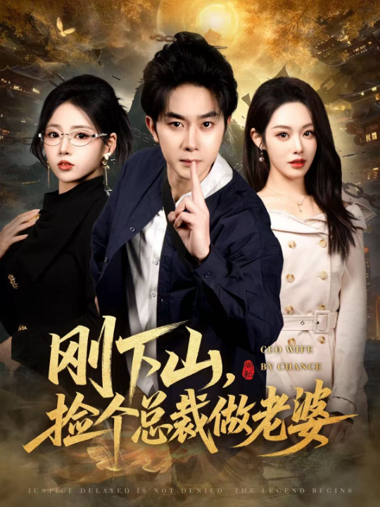 刚下山捡个总裁做老婆（80集）杨皓竣&胡继月&李奕璇