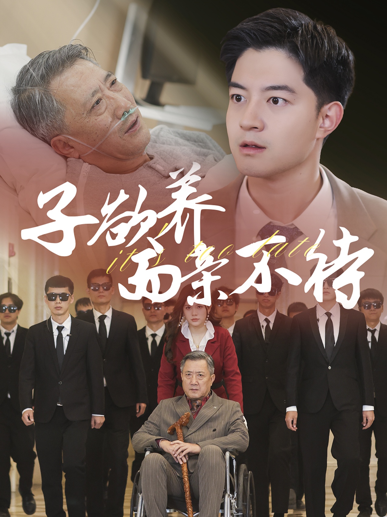 子欲养而亲不待（70集）