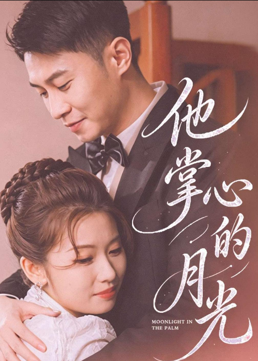 他掌心的月光（50集）骆定阳＆舒湘钧