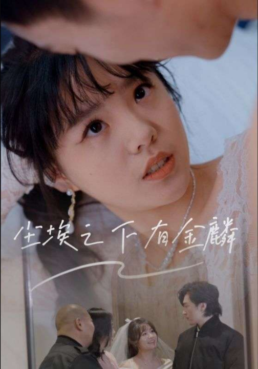 尘埃之下有金鳞（60集）汪晓彤