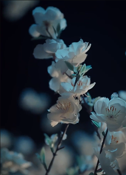 慈母重生她专治不服（53集）程硕＆邬倩