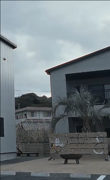 沉溺到底（长篇）