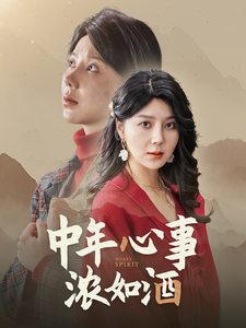 中年心事浓如酒（54集）