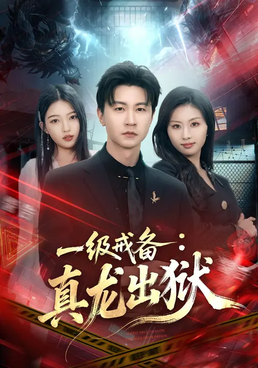 一级戒备：真龙出狱（73集）王鹏&千文
