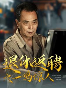 退休返聘之一鸣惊人（65集）