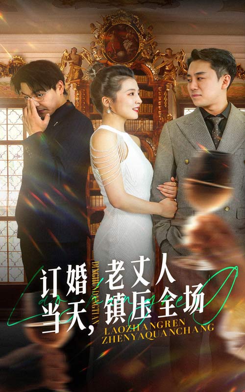 订婚当天，老丈人镇压全场（29集）