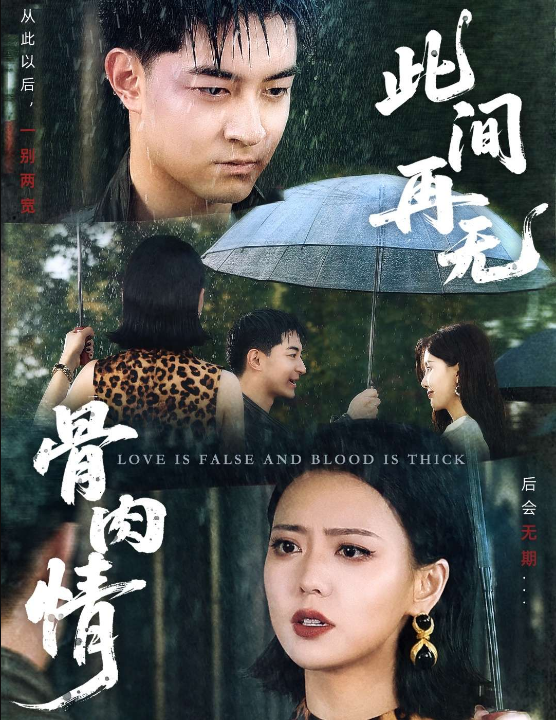 此间再无骨肉情（60集）高岫楠