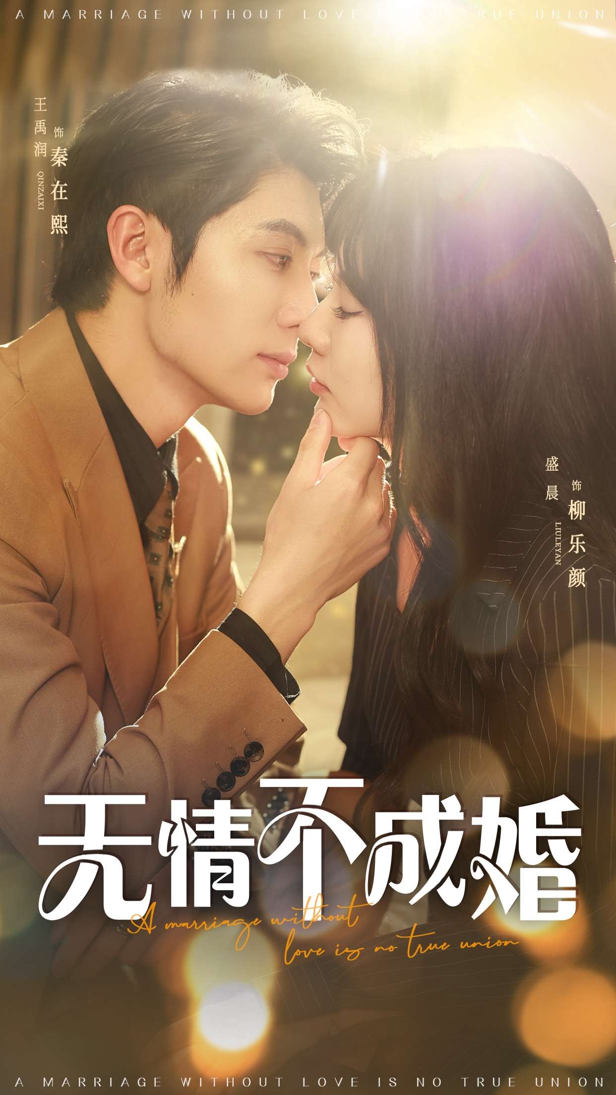 无情不成婚（70集）王子林&盛晨