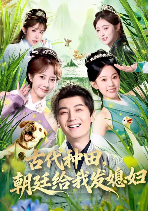 古代种田，朝廷给我发媳妇（81集）刘子洋&倪浩森