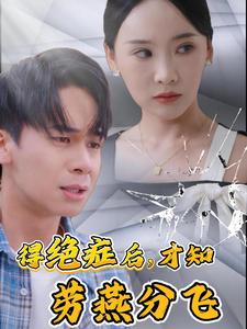得绝症后才知劳燕分飞（31集）