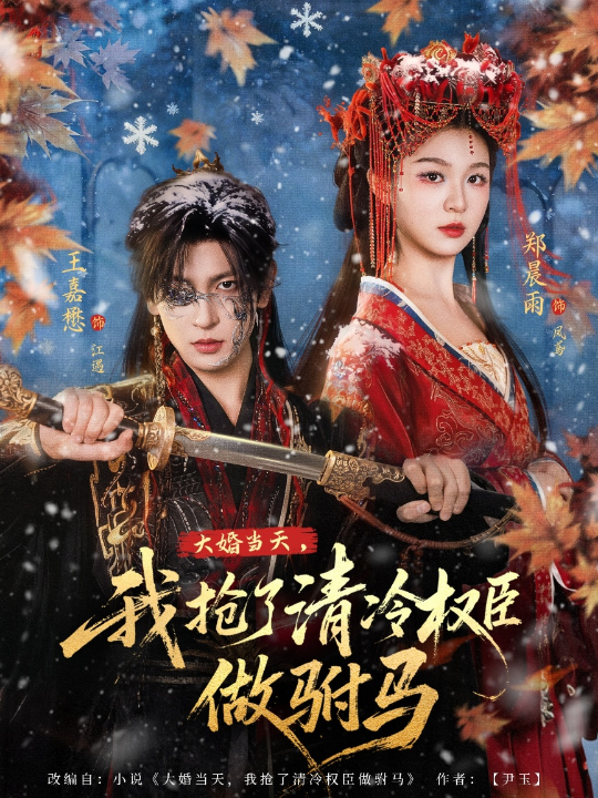 大婚当天，我抢了清冷权臣做驸马（73集）王嘉懋＆郑晨雨