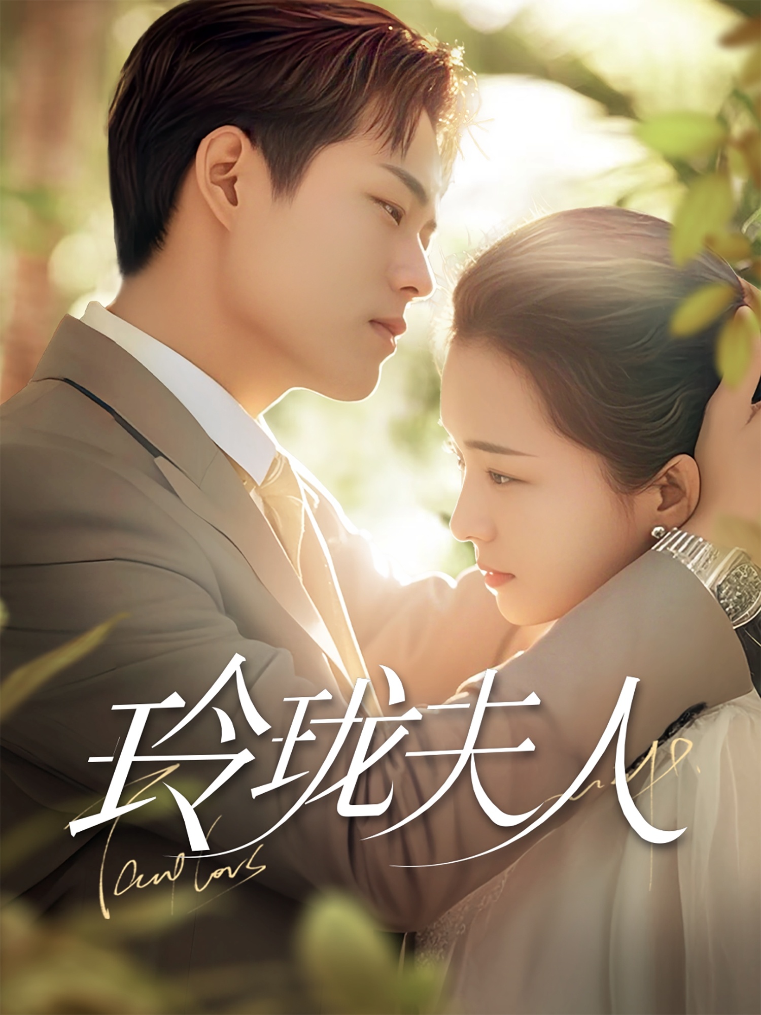 玲珑夫人（70集）华文婷