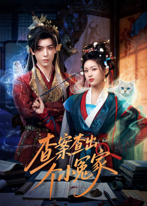 查案查出个小冤家（90集）黄天崎＆谢卓亚