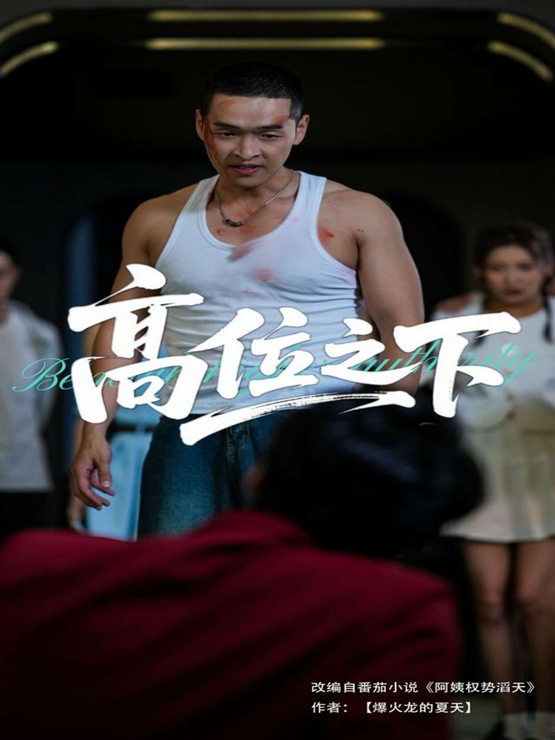 高位之下（65集）张家嘉&赵龙