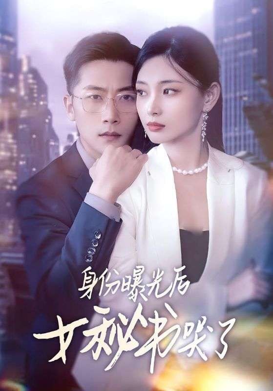 身份曝光后女秘书哭了（31集）刘雪君&张家川