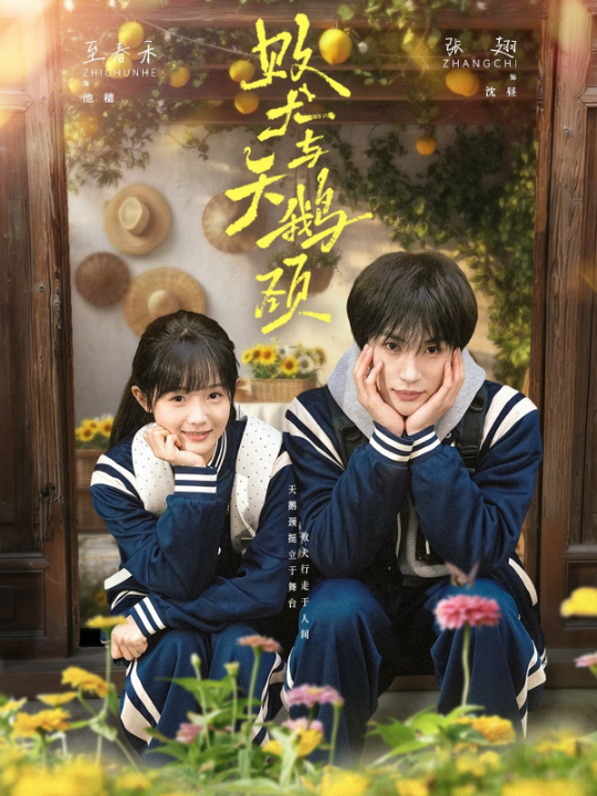 败犬与天鹅颈（71集）至春禾&张翅