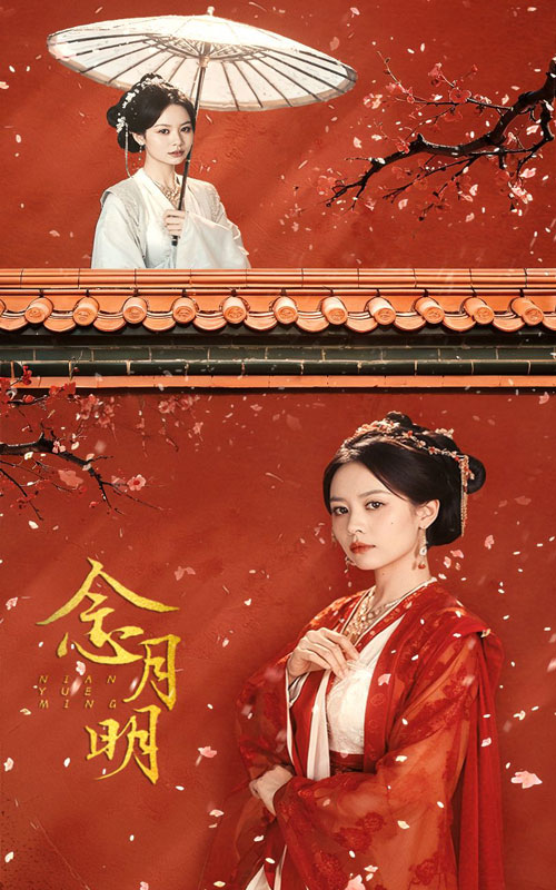 免费短剧资源:念月明（75集）