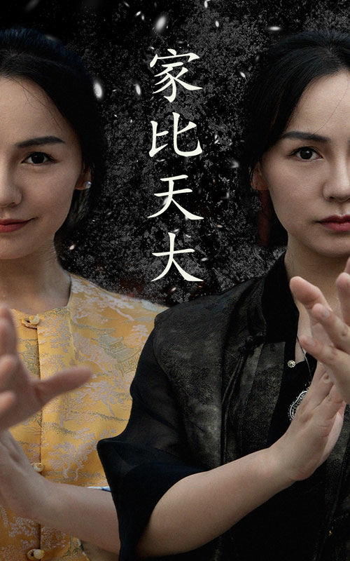 免费短剧 :家比天大（63集）