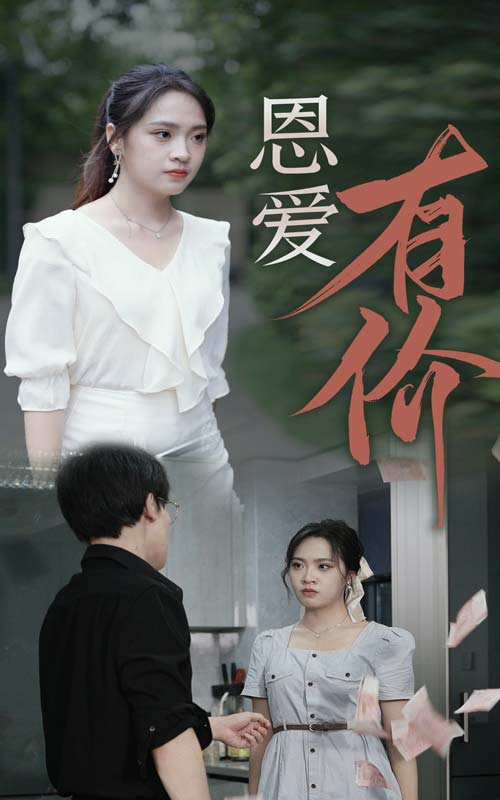 恩爱有价（31集）