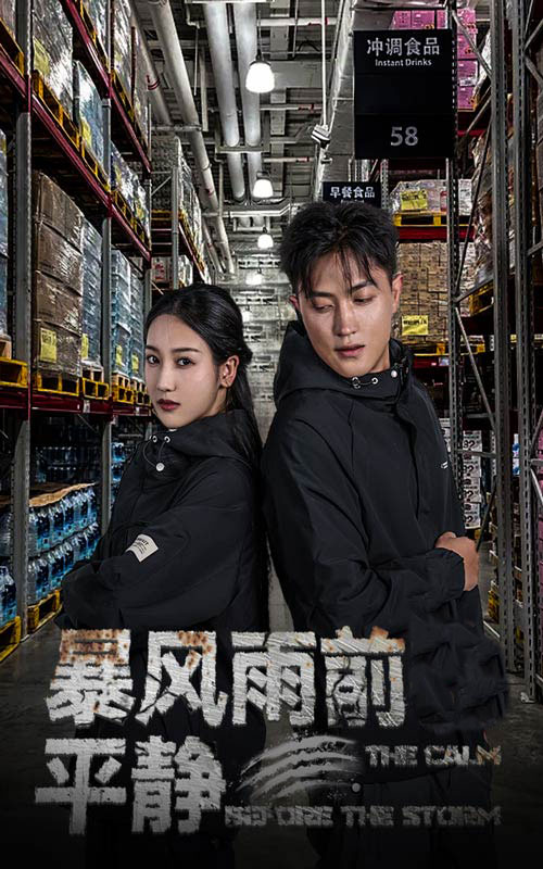 免费短剧：暴风雨前的平静（30集）