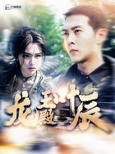 龙王殿叶辰（100集）远霞