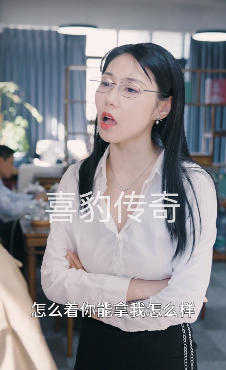 小龙的飞驰人生（88集）