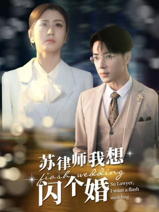 苏律师我想闪个婚$苏大律的社畜女友（95集）