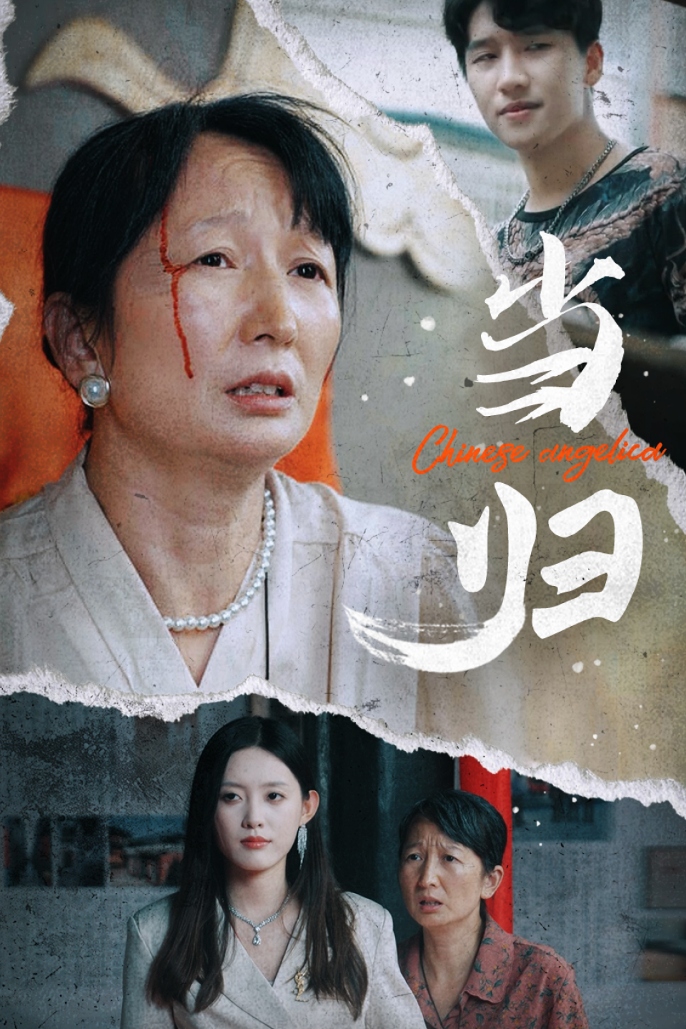免费短剧：当归（50集）
