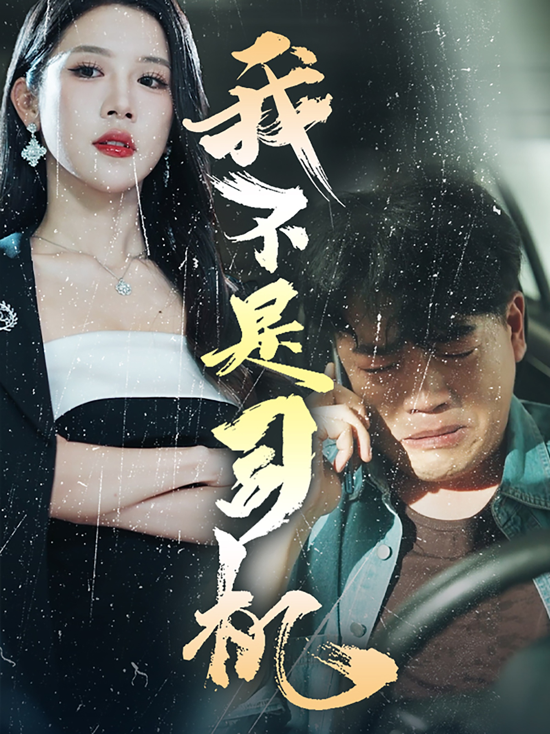 我不是司机（61集）林绮婷