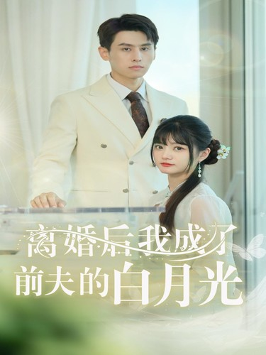 离婚后我成了前夫的白月光&总裁前夫太难缠（58集）王寒阳