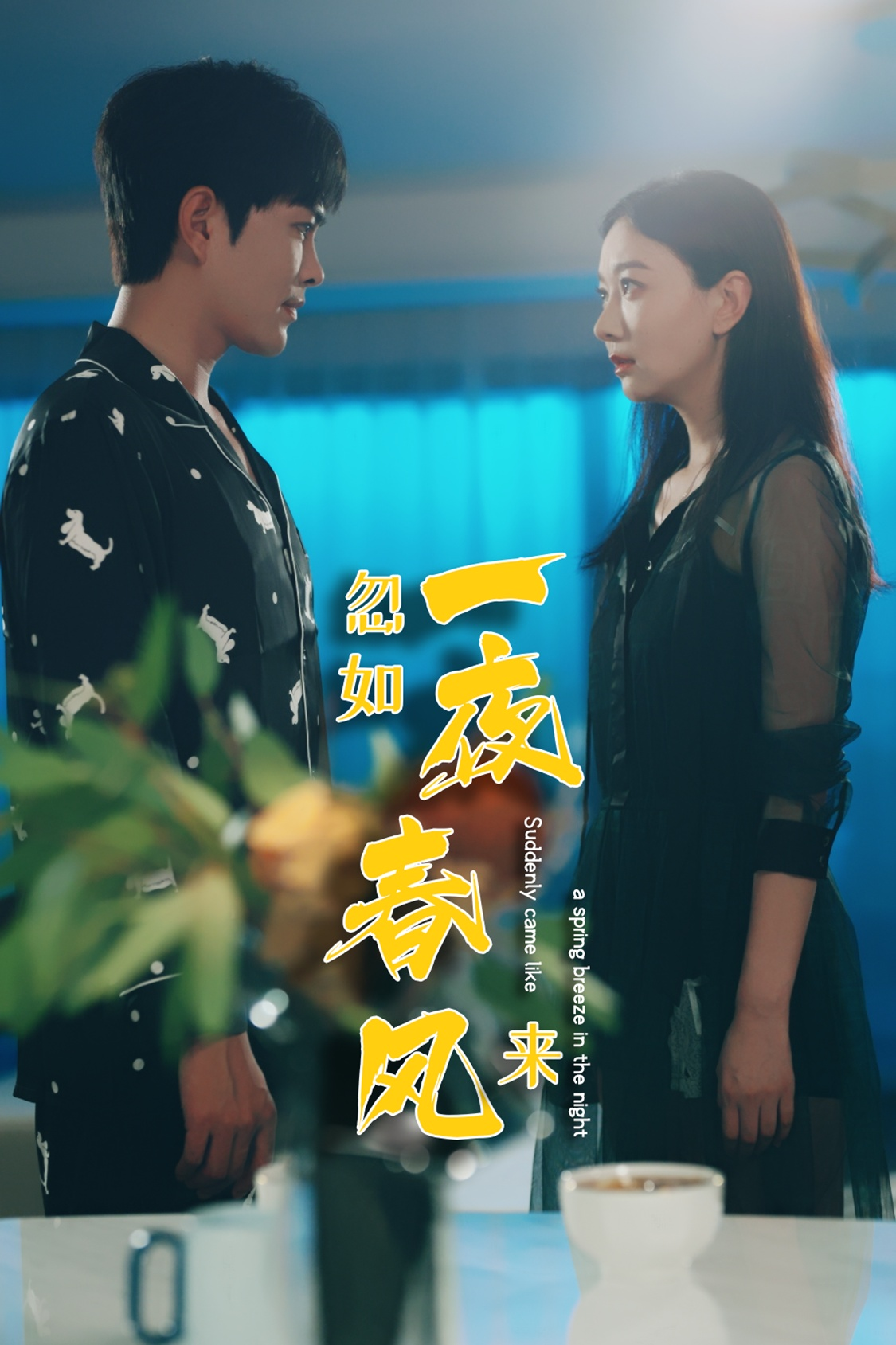 忽如一夜春风来（28集）徐江帅