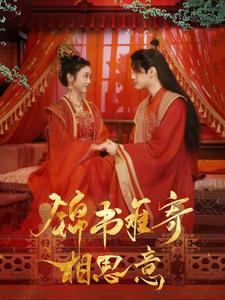 锦书难寄相思意（97集）