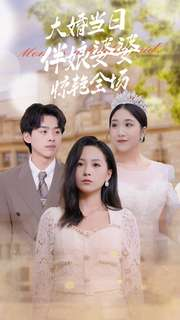 大婚当日伴娘婆婆惊艳全场（30集）