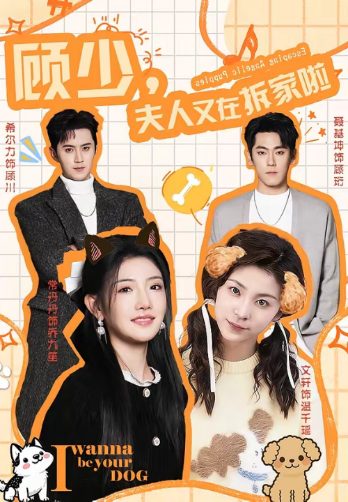 顾少，夫人又在拆家啦（78集）希尔力＆常丹丹