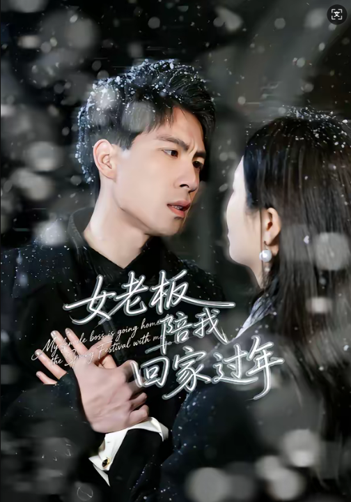 女老板陪我回家过年（40集）罗珊珊＆贺翔