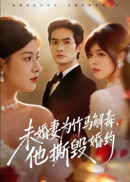 未婚妻为竹马解毒，他撕毁婚约（41集）陈寻秋＆程新茸