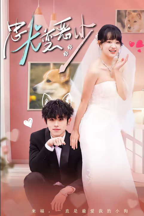 惊！我家来福变恶少了＆忠犬变恶少（80集）曹竣柯＆赵影