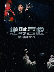 逆时营救别动我女儿（31集）