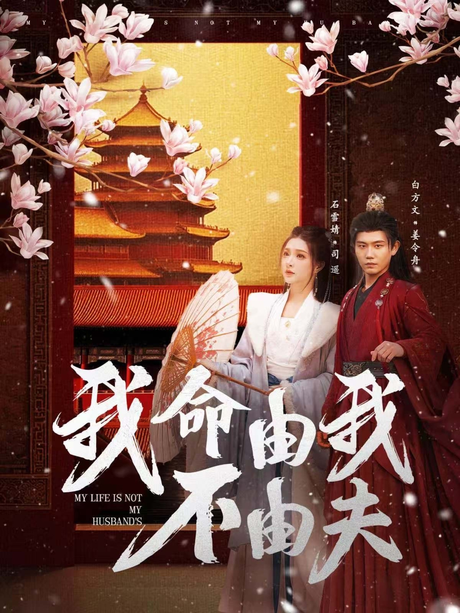 我命由我不由夫（75集）白方文&石雪婧