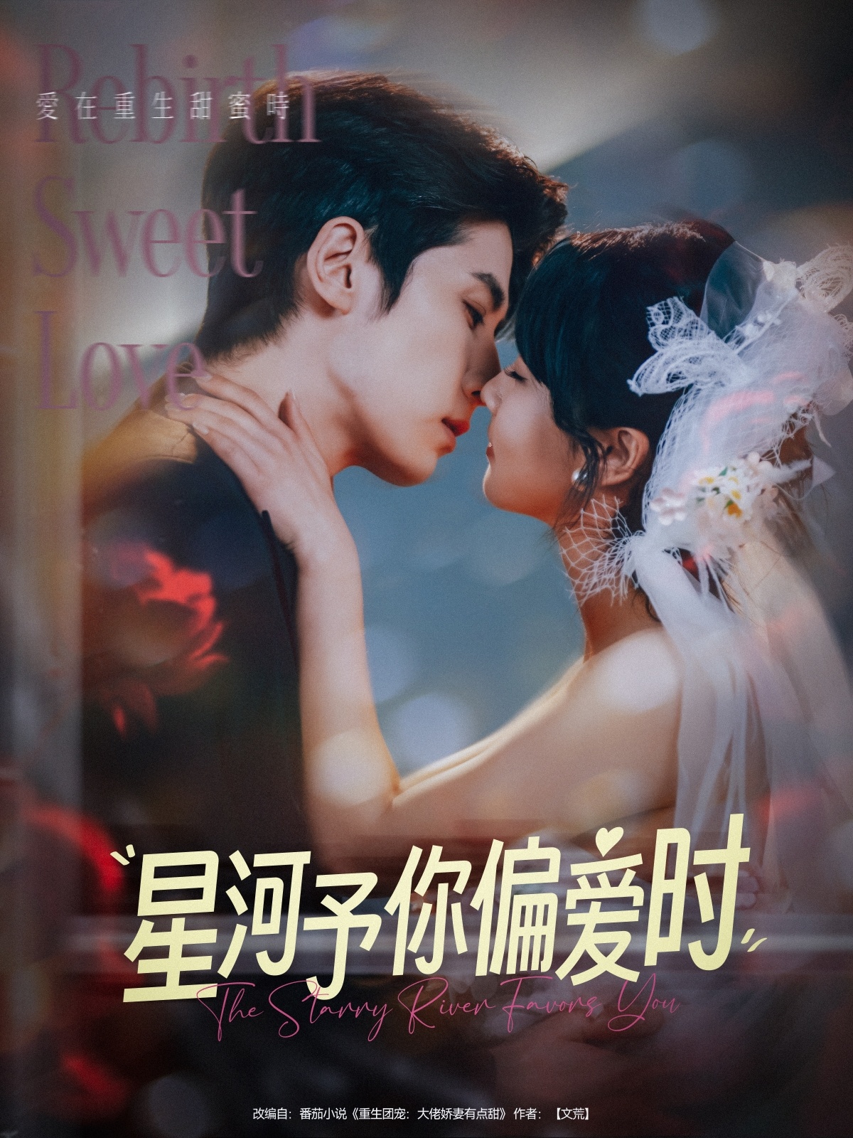 星河予你偏爱时（79集）林枫松＆陈羽翎