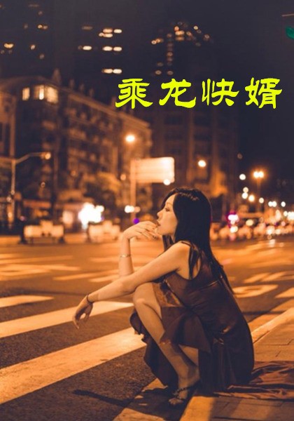 乘龙快婿（30集）擦边剧