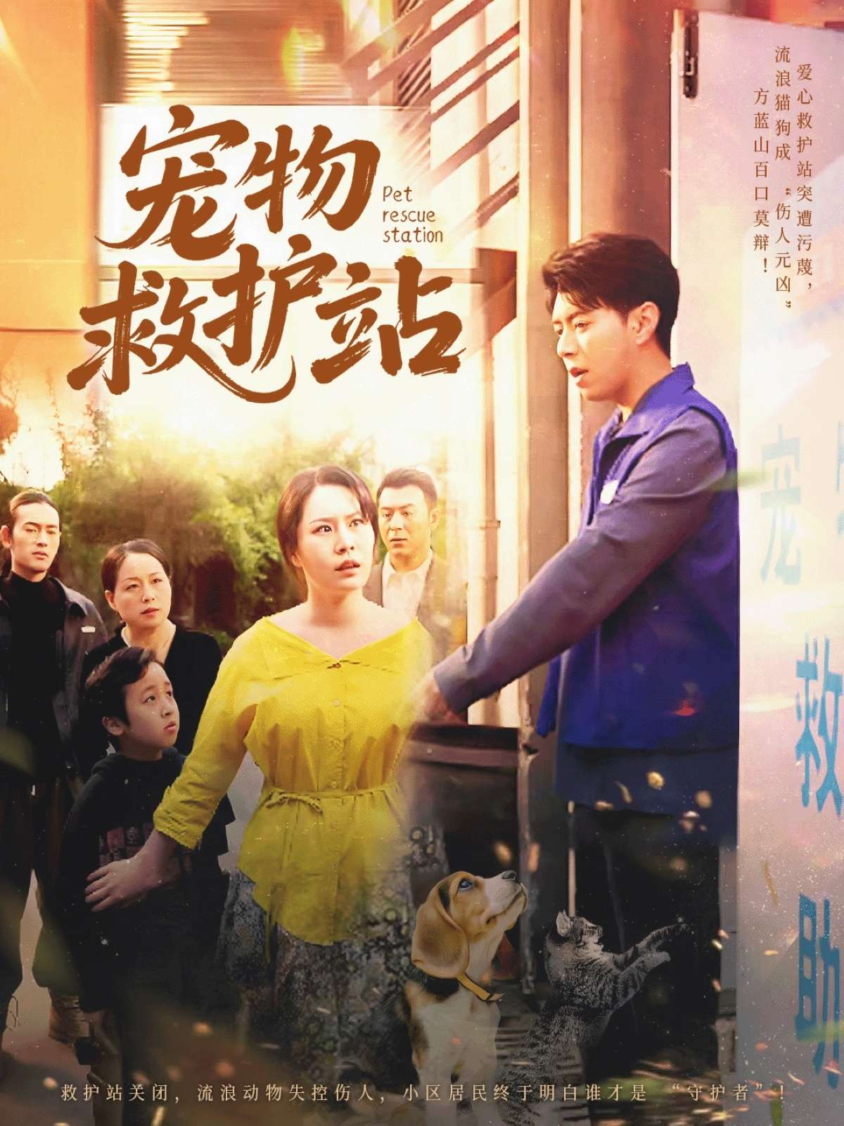 宠物救护站（30集）魏晓慧&尹竹