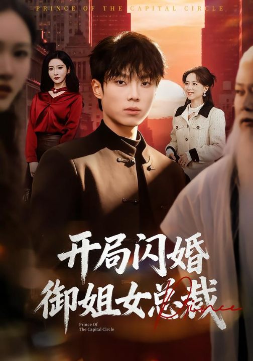 开局闪婚御姐女总裁（62集）肖茜文&杨晨