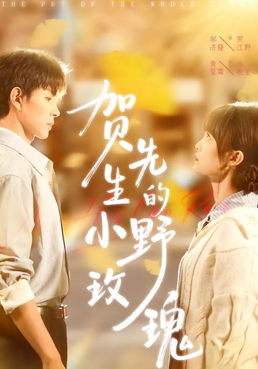 贺先生的小野玫瑰（99集）黄玺霖&邹济隆